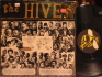 hive.jpg image by dfavretto