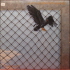 Little River Band - Net