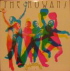rowans-jubilation.jpg image by dfavretto